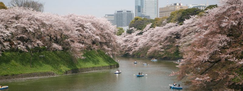 3月のイベントスケジュール