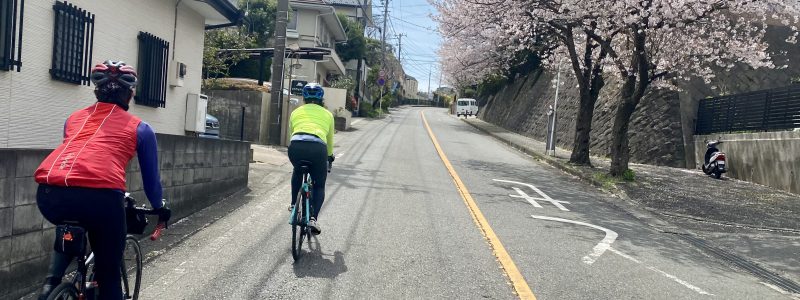 【Cafeライド　桜を見る会編】